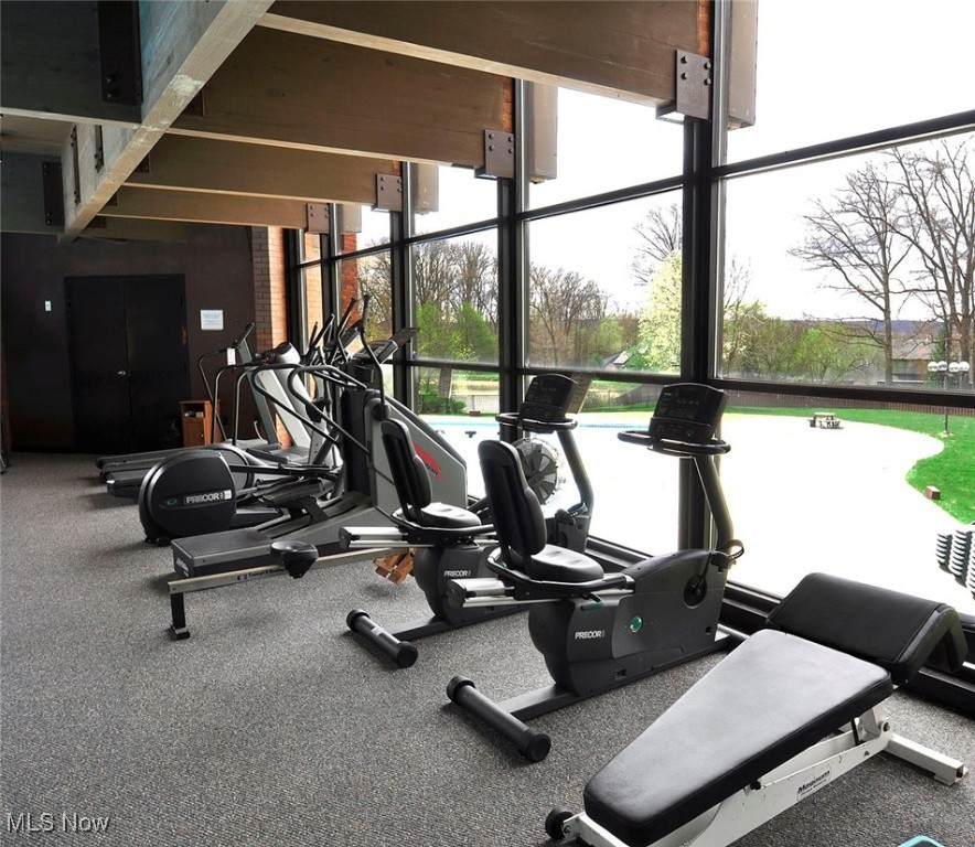 6340 Greenwood Parkway Sagamore Hills OH 44067