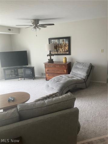 26187 Raintree Boulevard Olmsted Falls OH 44138