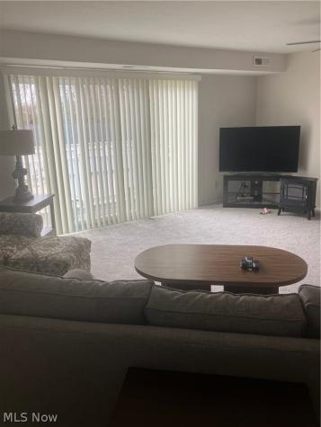 26187 Raintree Boulevard Olmsted Falls OH 44138
