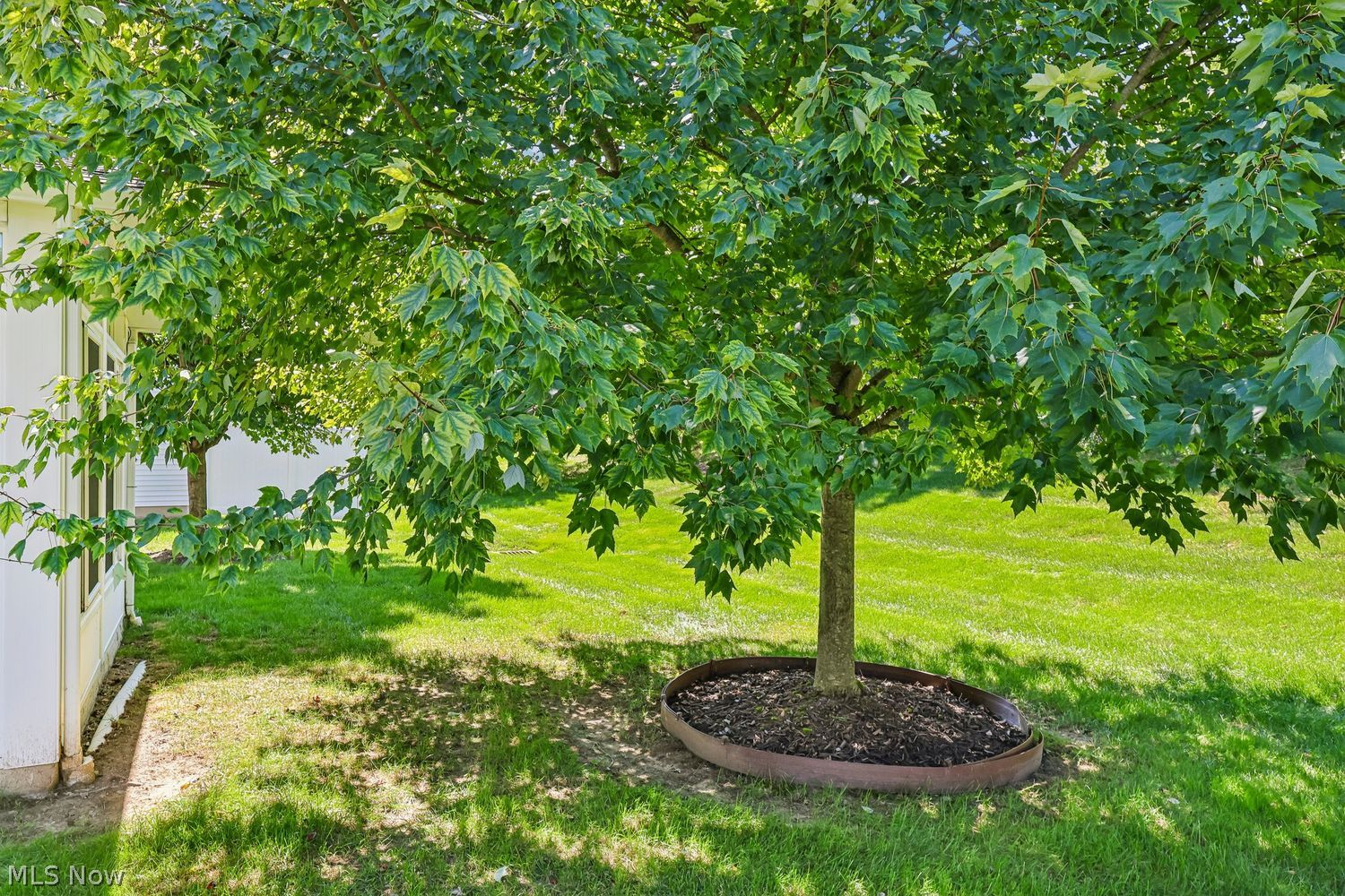 10268 Orchard Hill Lane Twinsburg OH 44087