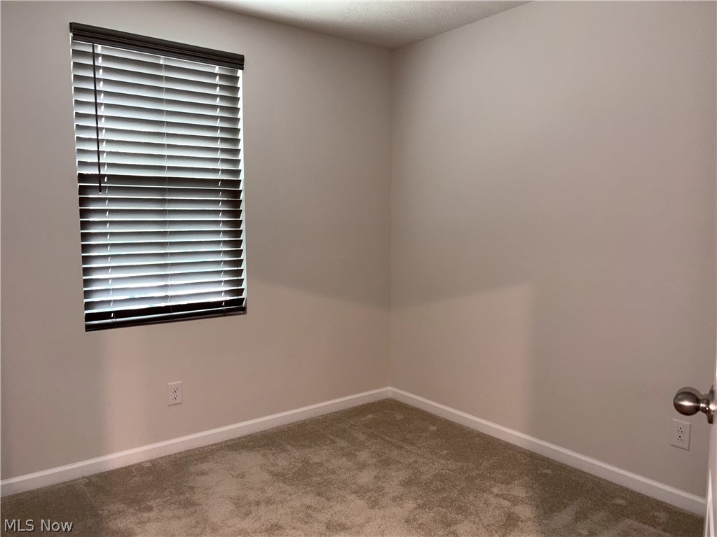 210 Raintree Lane Painesville OH 44077