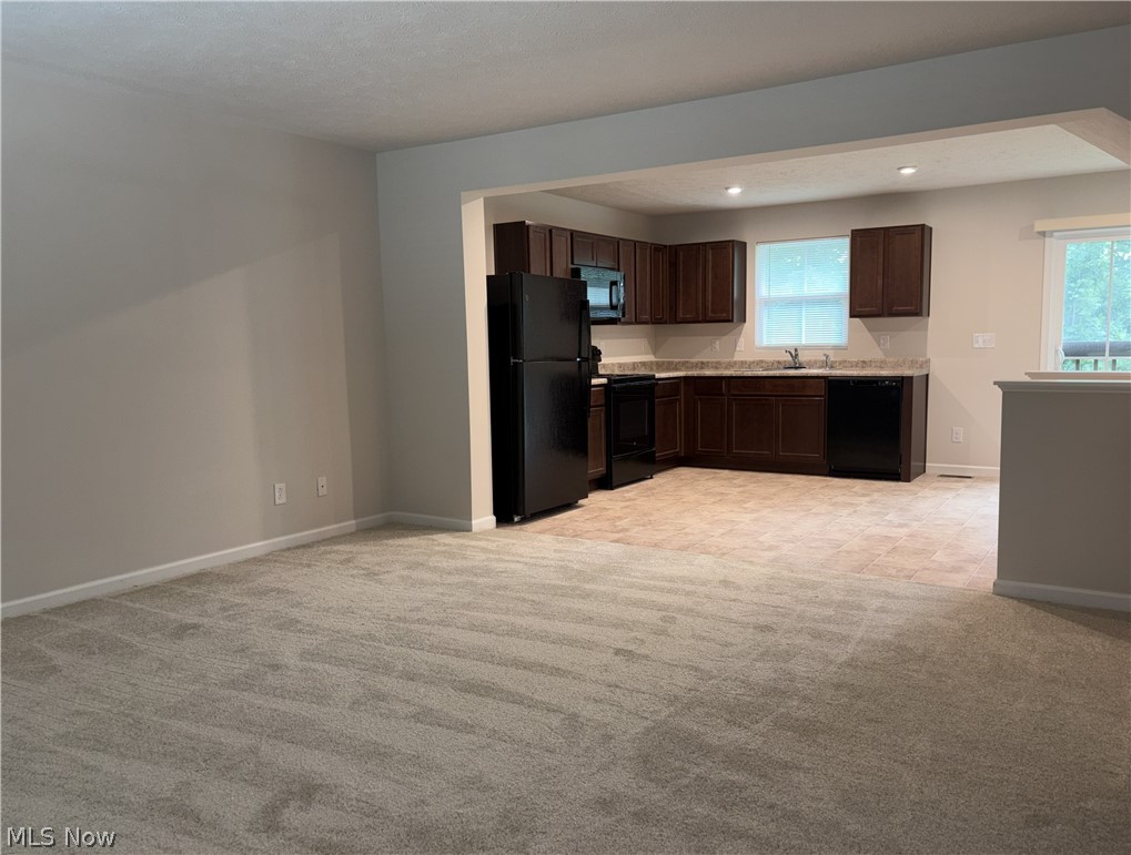 210 Raintree Lane Painesville OH 44077