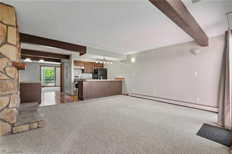 1605 Treetop Trail Akron OH 44313