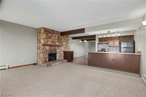 1605 Treetop Trail Akron OH 44313
