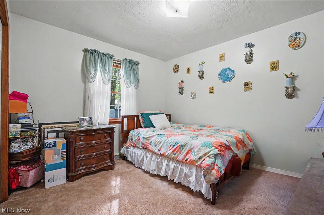 17 Harneds Landing Cortland OH 44410
