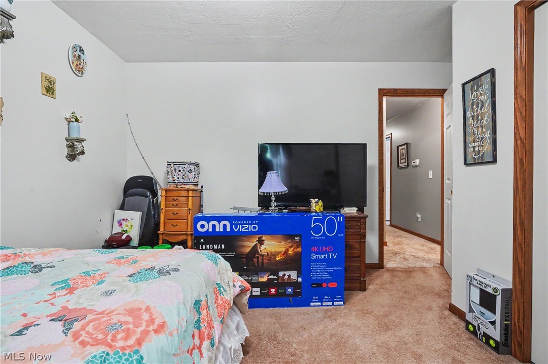 17 Harneds Landing Cortland OH 44410