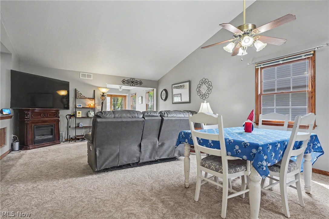 17 Harneds Landing Cortland OH 44410