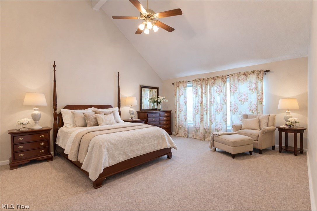 390 Blair Circle Aurora OH 44202