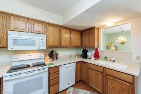 1979 Sandy Hook Stow OH 44224