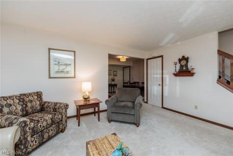 1979 Sandy Hook Stow OH 44224