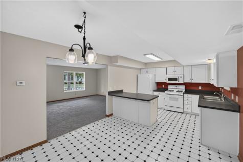 5005 Bar Harbor Lane Stow OH 44224