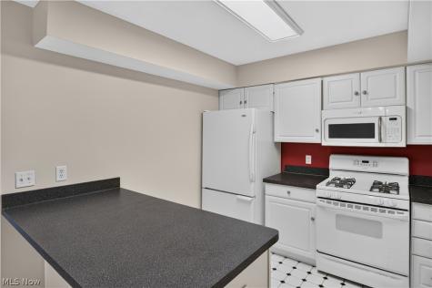 5005 Bar Harbor Lane Stow OH 44224