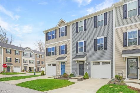 113 Palm Court Painesville OH 44077