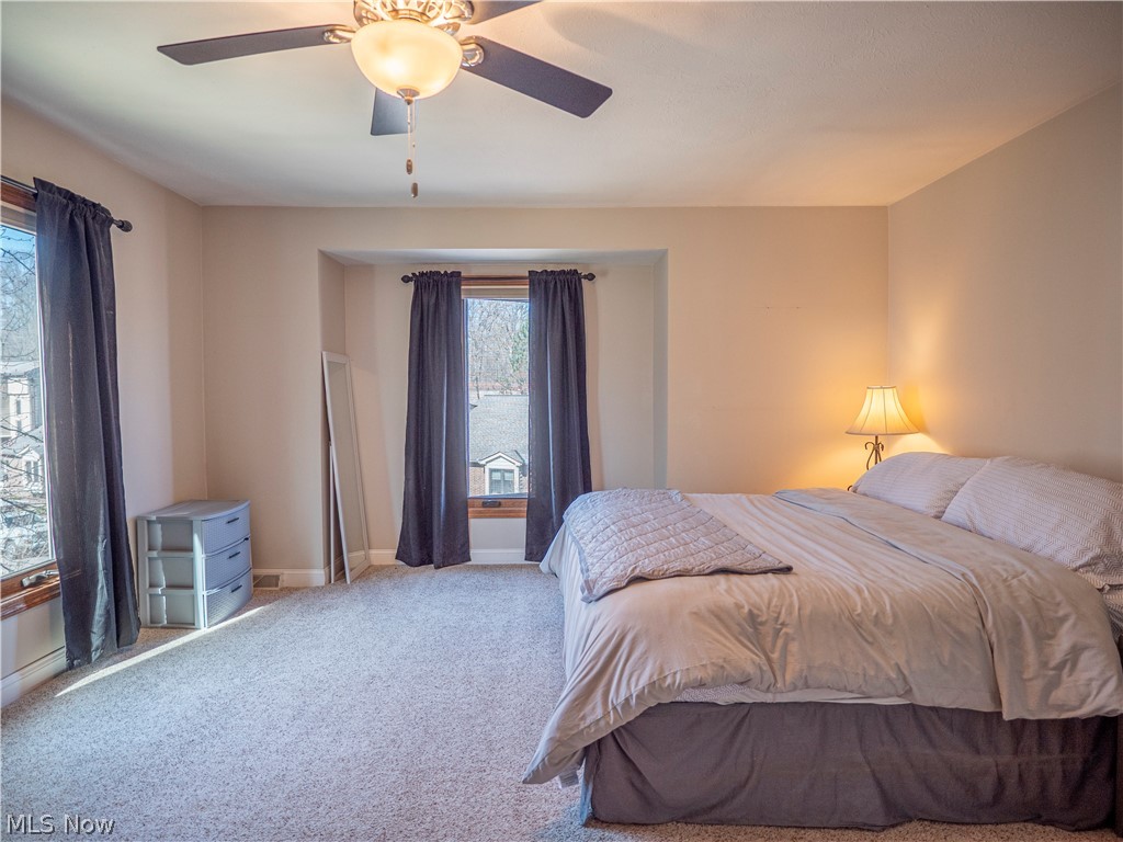 6878 W Fitzwater Road Brecksville OH 44141