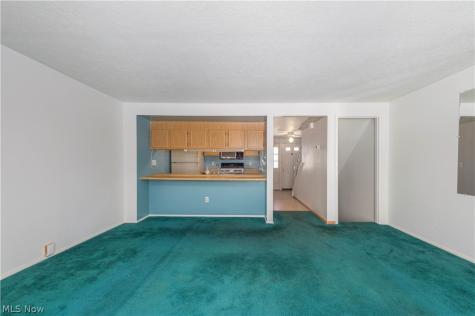 106 Maria Drive Bedford OH 44146