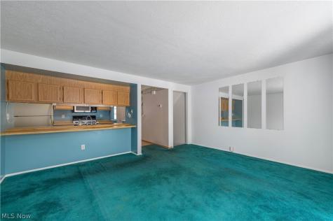 106 Maria Drive Bedford OH 44146