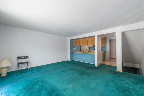 106 Maria Drive Bedford OH 44146