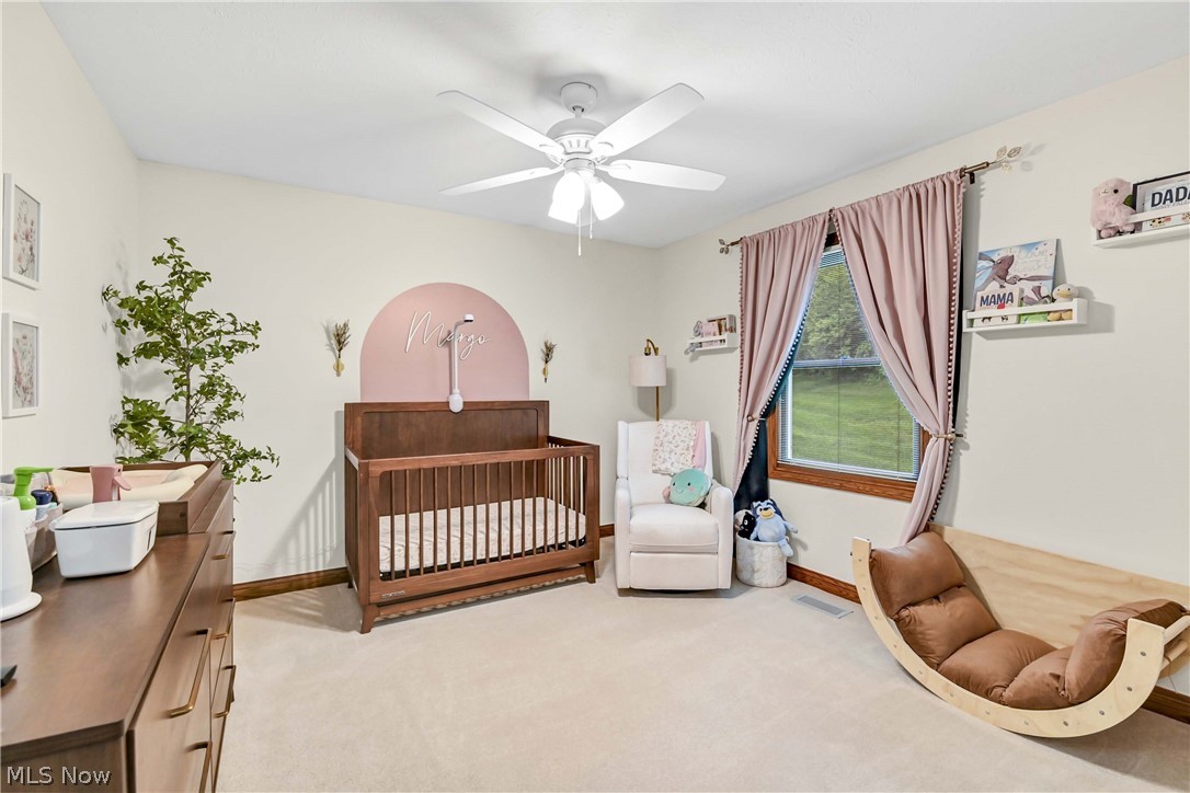 1820 Hampton Run Broadview Heights OH 44147