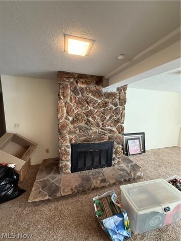 7209 S Churchill Place Painesville OH 44077