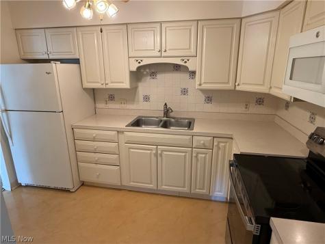 7209 S Churchill Place Painesville OH 44077