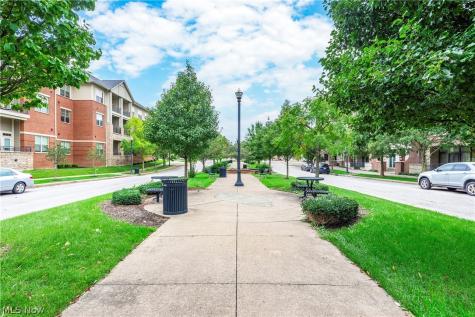 16800 Van Aken Boulevard Shaker Heights OH 44120