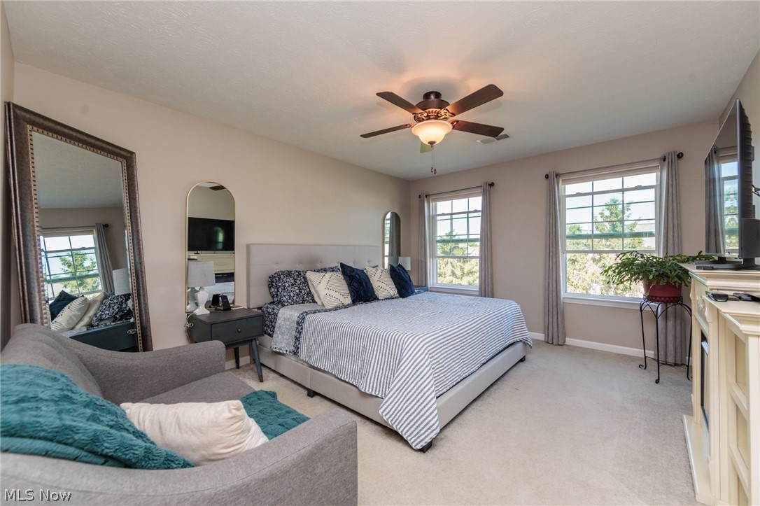 835 Wildberry Circle Avon Lake OH 44012