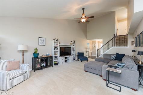 835 Wildberry Circle Avon Lake OH 44012