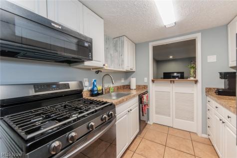 88 Castle Court Brunswick OH 44212