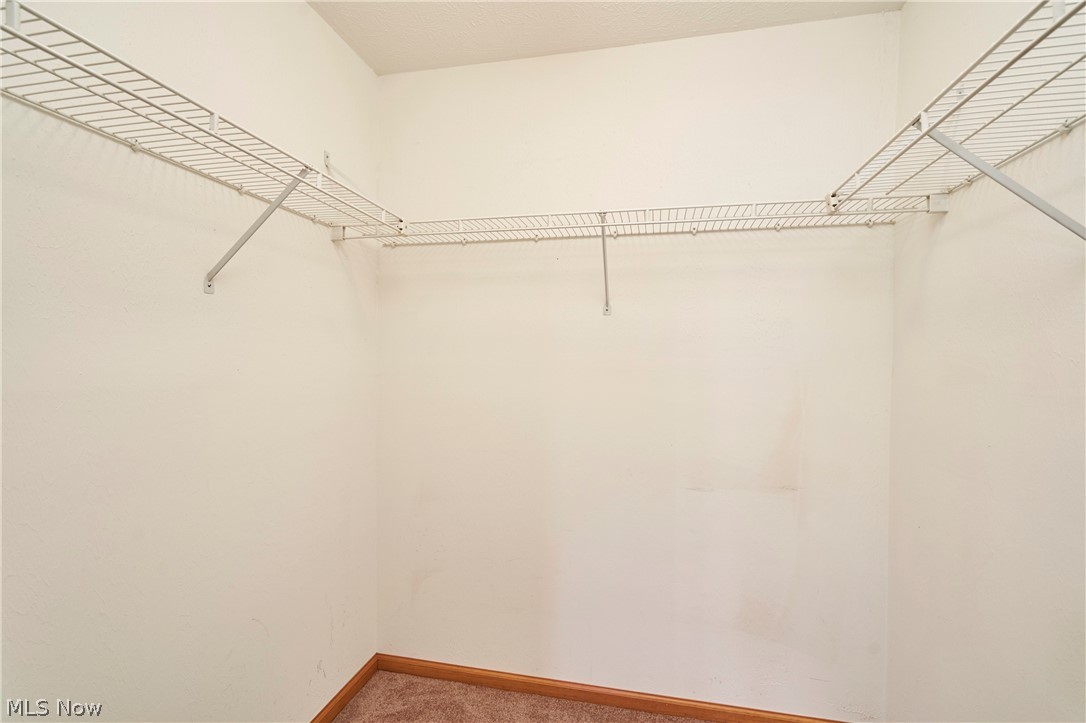 152 Steele Avenue Painesville OH 44077