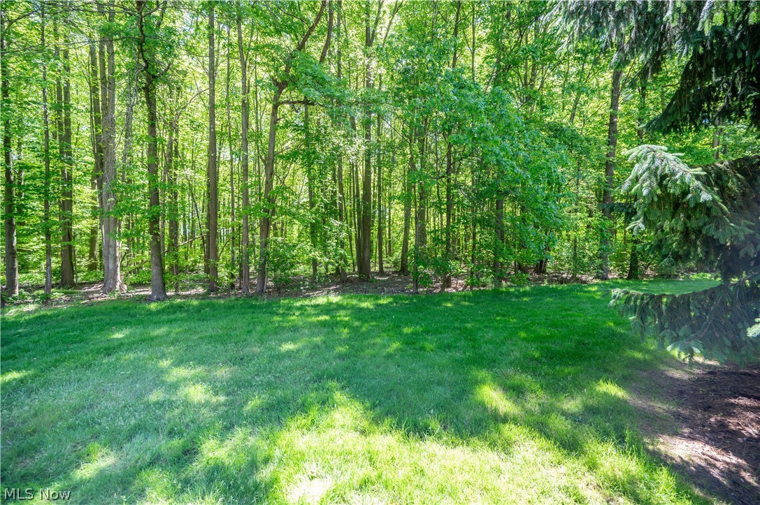 9114 Inverrary Drive SE Howland OH 44484