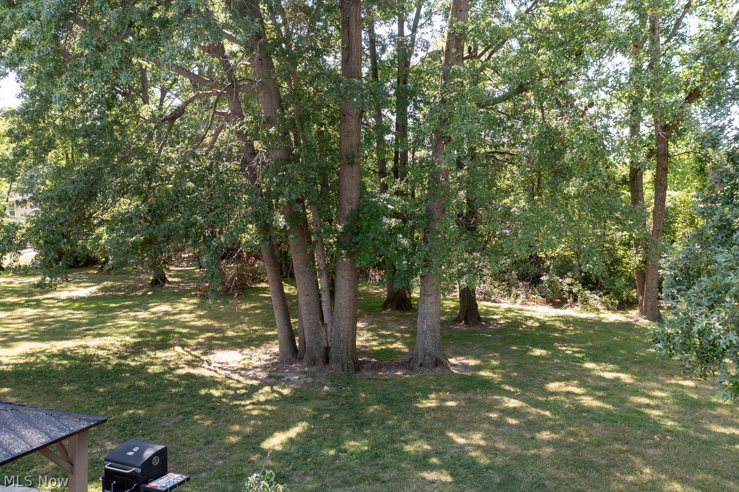 8830 Holly Lane Olmsted Falls OH 44138