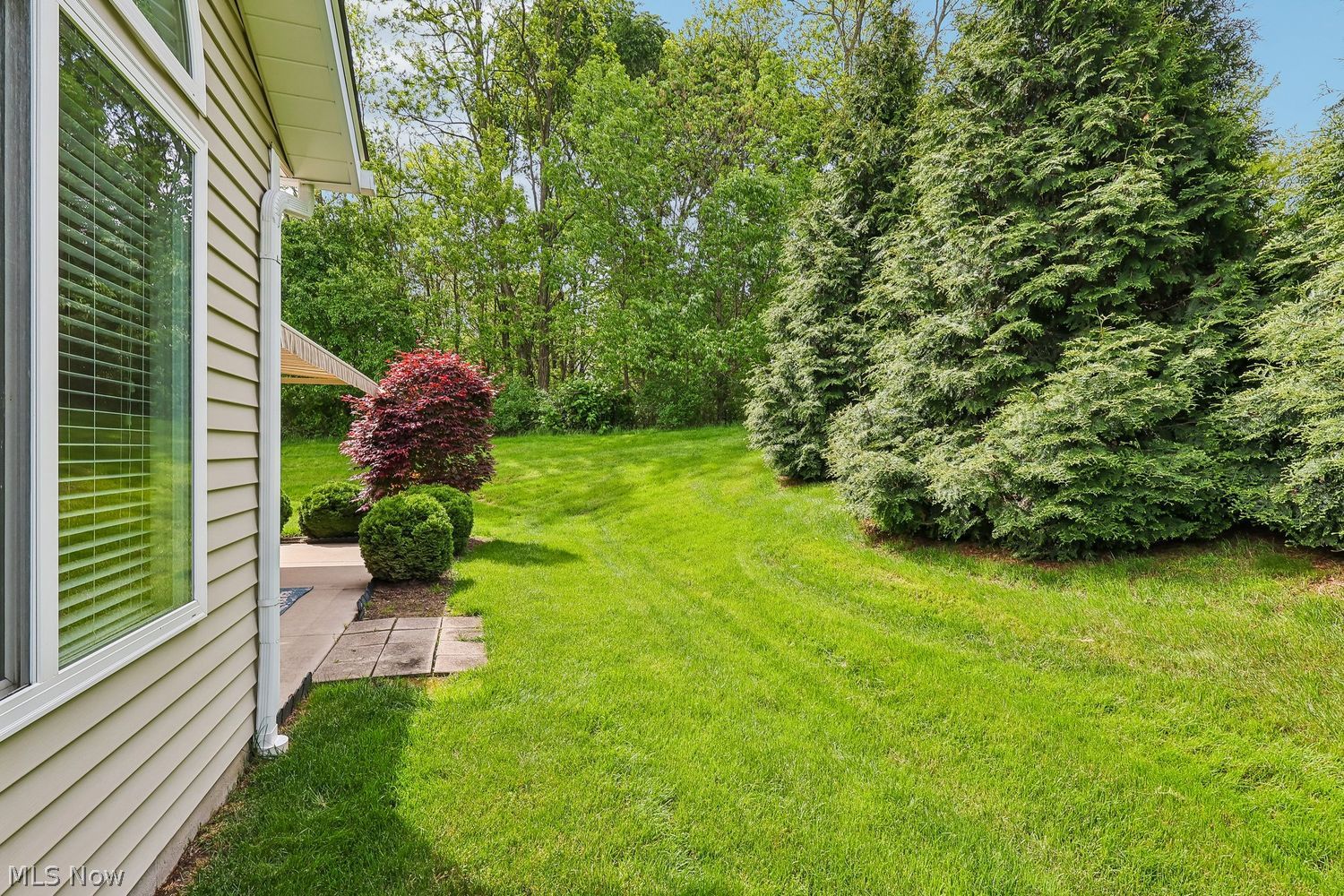1180 Briarcliff Drive Akron OH 44312
