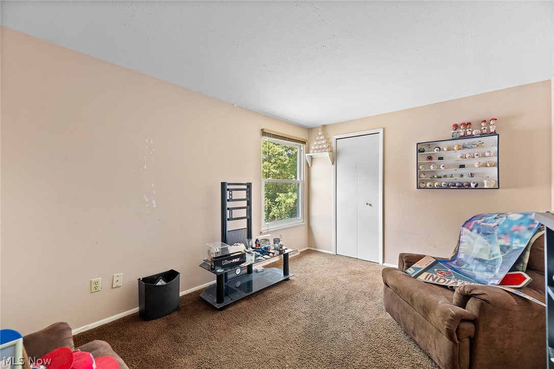8851 Holly Lane Olmsted Falls OH 44138