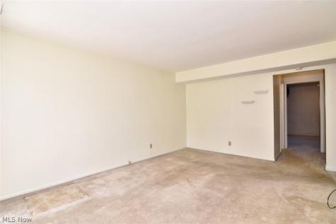 6270 Greenwood Sagamore Hills OH 44067