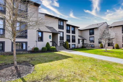 6270 Greenwood Sagamore Hills OH 44067