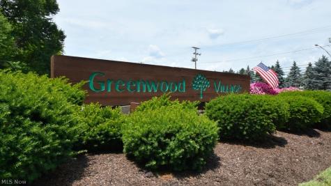 6270 Greenwood Sagamore Hills OH 44067