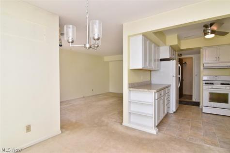 6270 Greenwood Sagamore Hills OH 44067