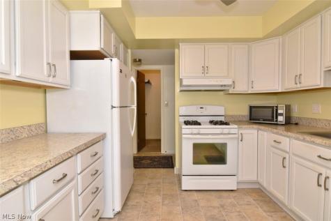6270 Greenwood Sagamore Hills OH 44067