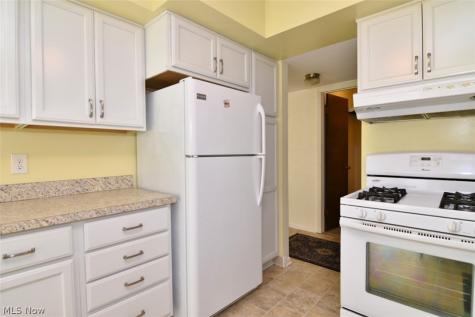 6270 Greenwood Sagamore Hills OH 44067