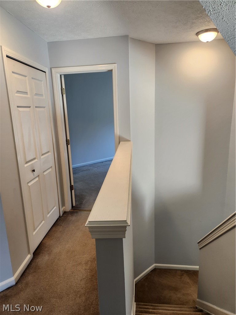 5203 Cline Road Kent OH 44240