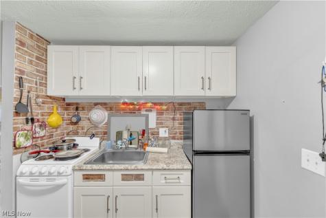 115 S Rocky River Drive Berea OH 44017