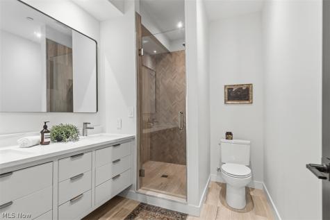 3109 Vine Court Cleveland OH 44113