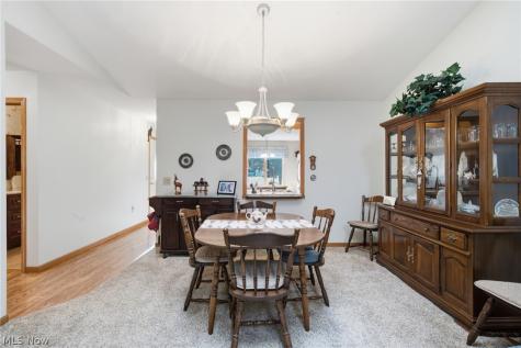 1451 Tripodi Circle Niles OH 44446