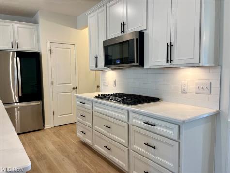 27842 Birchwood Court Westlake OH 44145