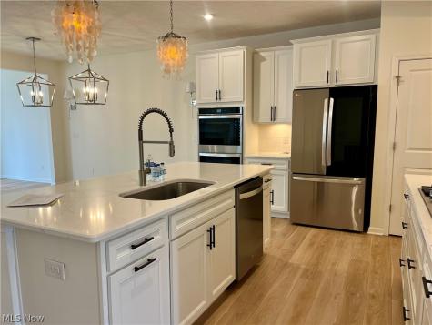 27842 Birchwood Court Westlake OH 44145