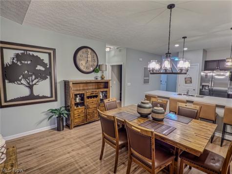 118 W Spring Drive Elyria OH 44035