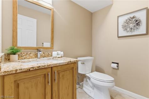 985 Goldenrod Trail Aurora OH 44202