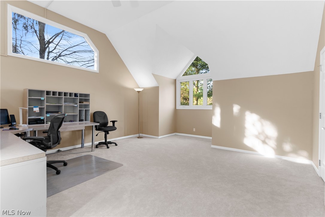 985 Goldenrod Trail Aurora OH 44202