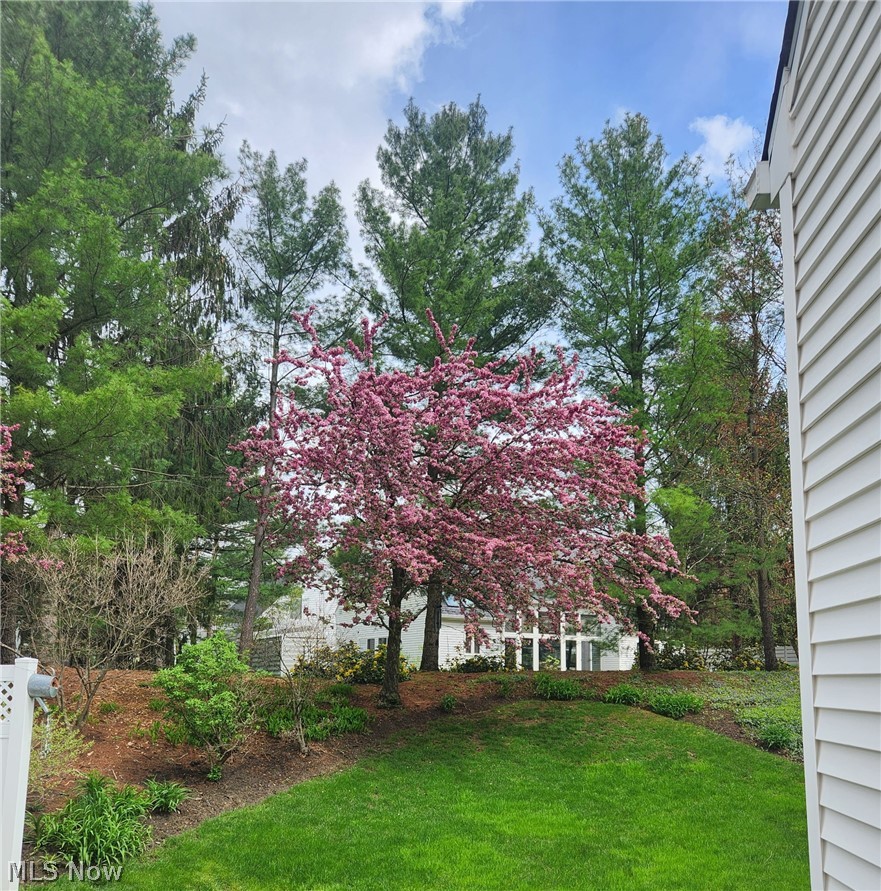985 Goldenrod Trail Aurora OH 44202