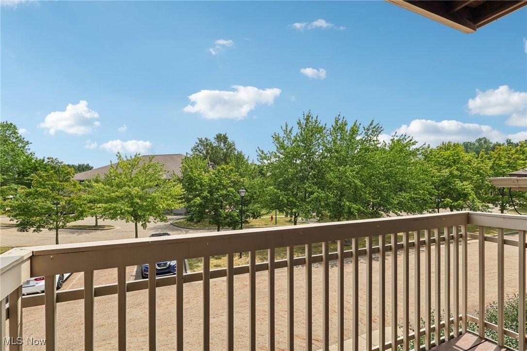 3800 Rosemont Boulevard Akron OH 44333